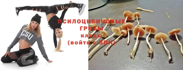 индика Аркадак