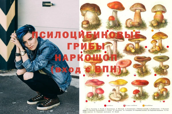 а пвп мука Армянск