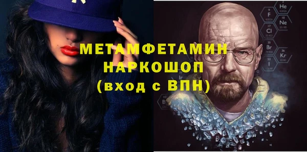 индика Аркадак