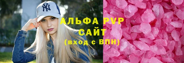 индика Аркадак